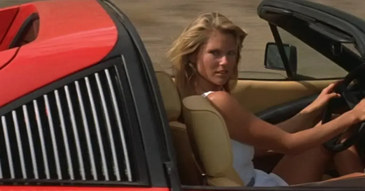 Christie Brinkley