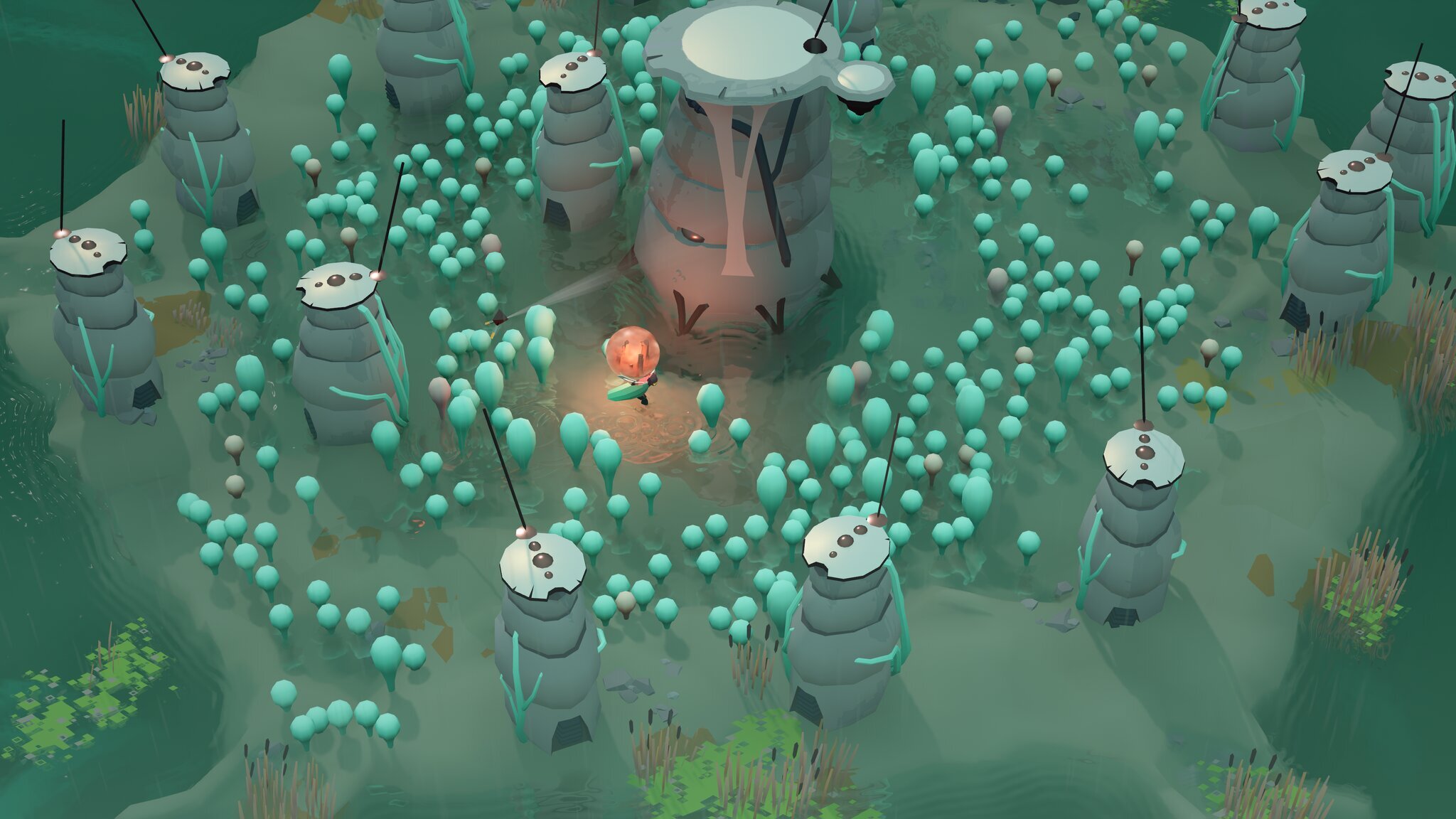 Cocoon