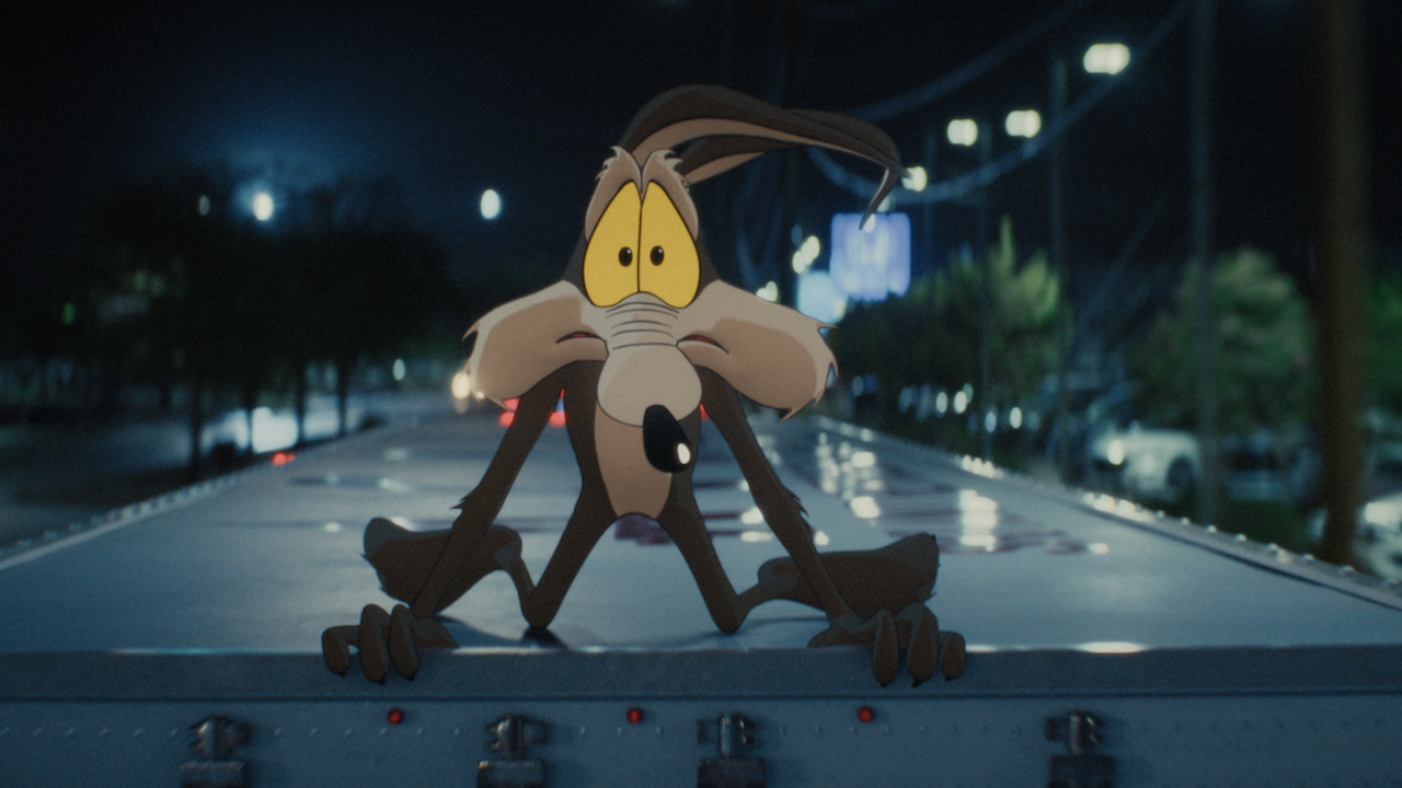 Coyote vs Acme