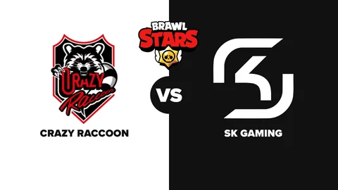 Crazy Raccoon SK Gaming
