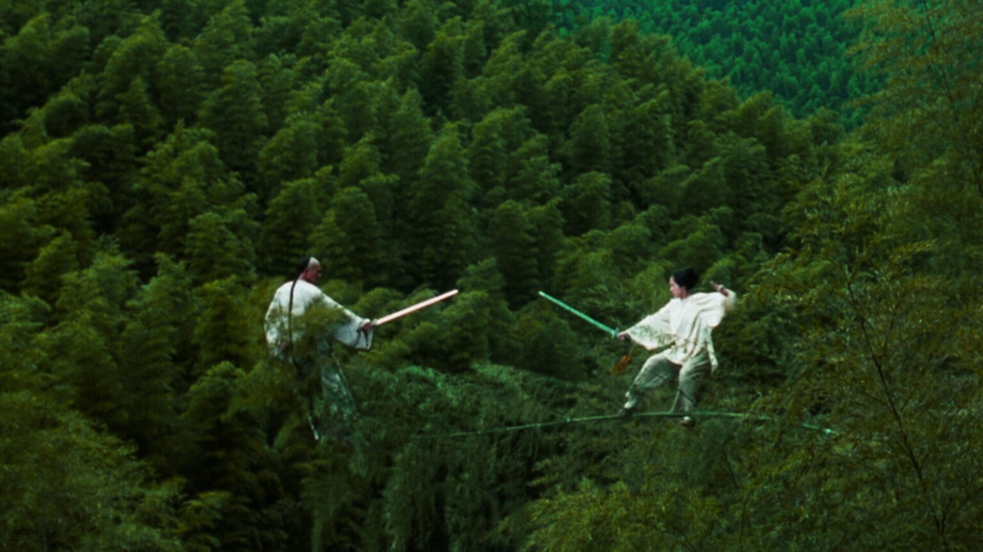 Crouching Tiger Hidden Dragon The Bamboo Forest Duel