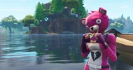 Cuddle Team Leader