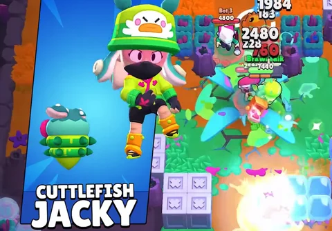 Cuttlefish Jacky