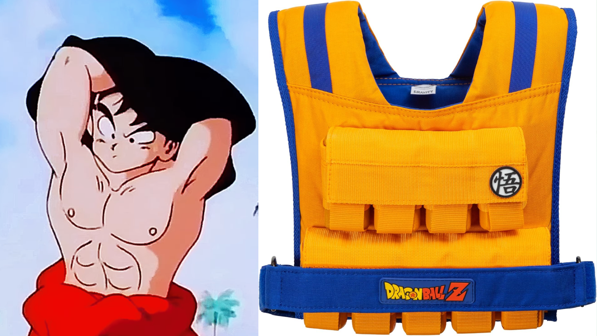 DBZ Gewichtsweste 00