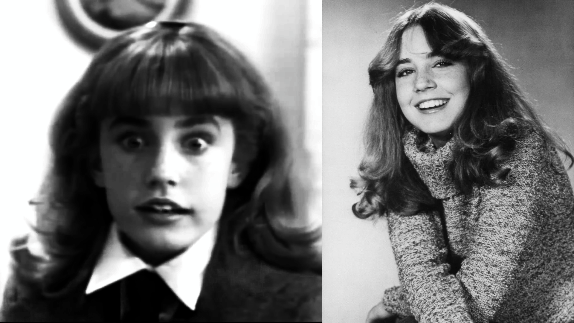 Dana Plato 01 Wikipedia