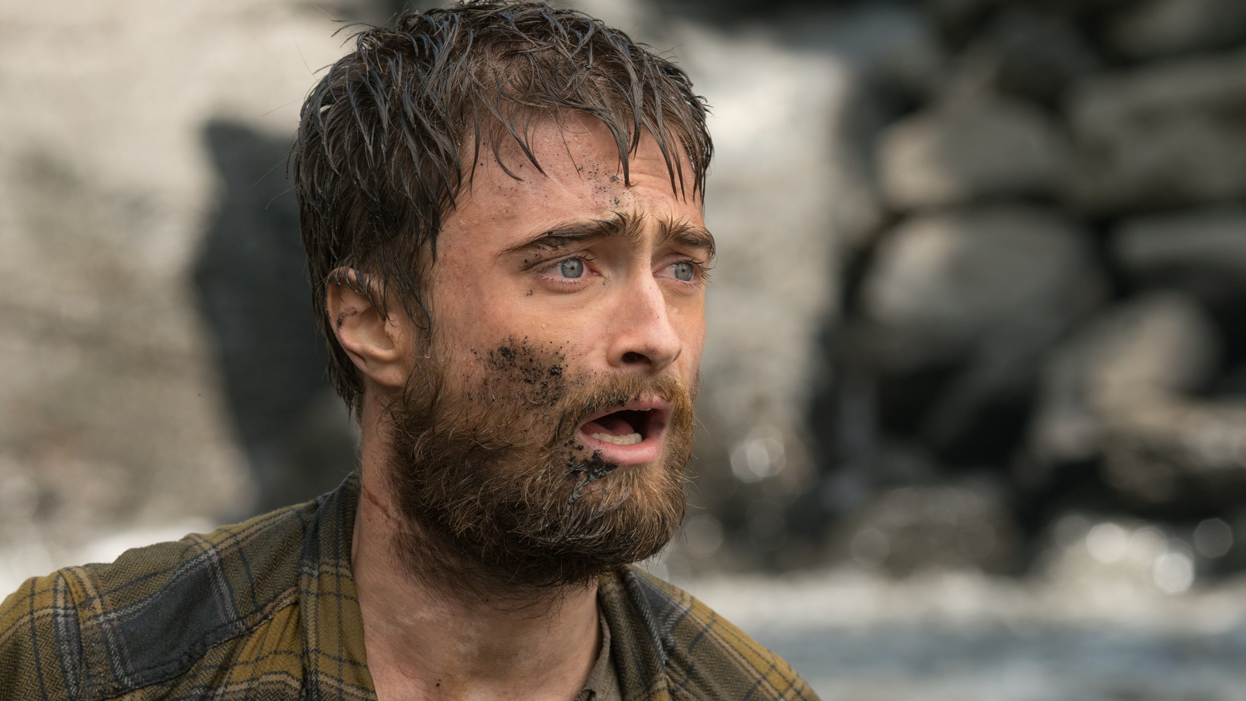 Daniel Radcliffe
