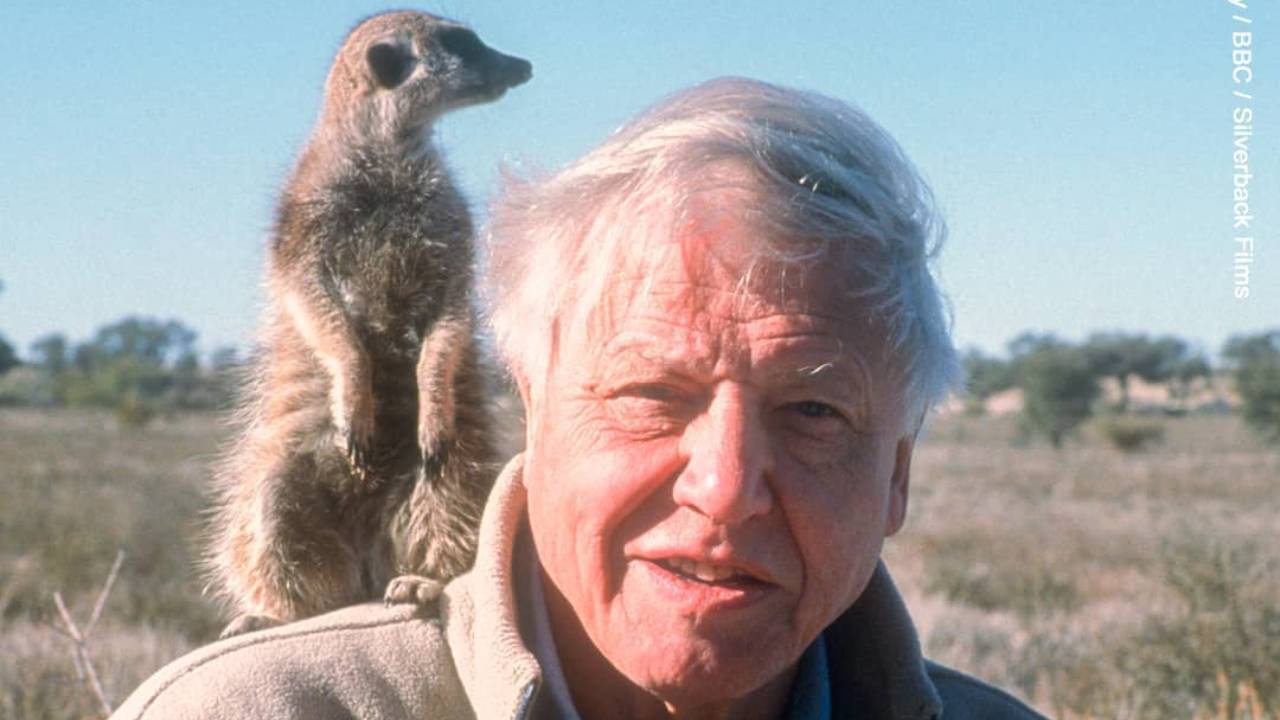 David Attenborough