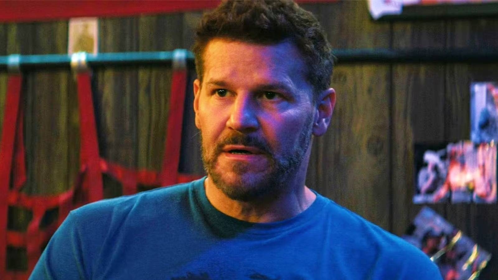 David Boreanaz