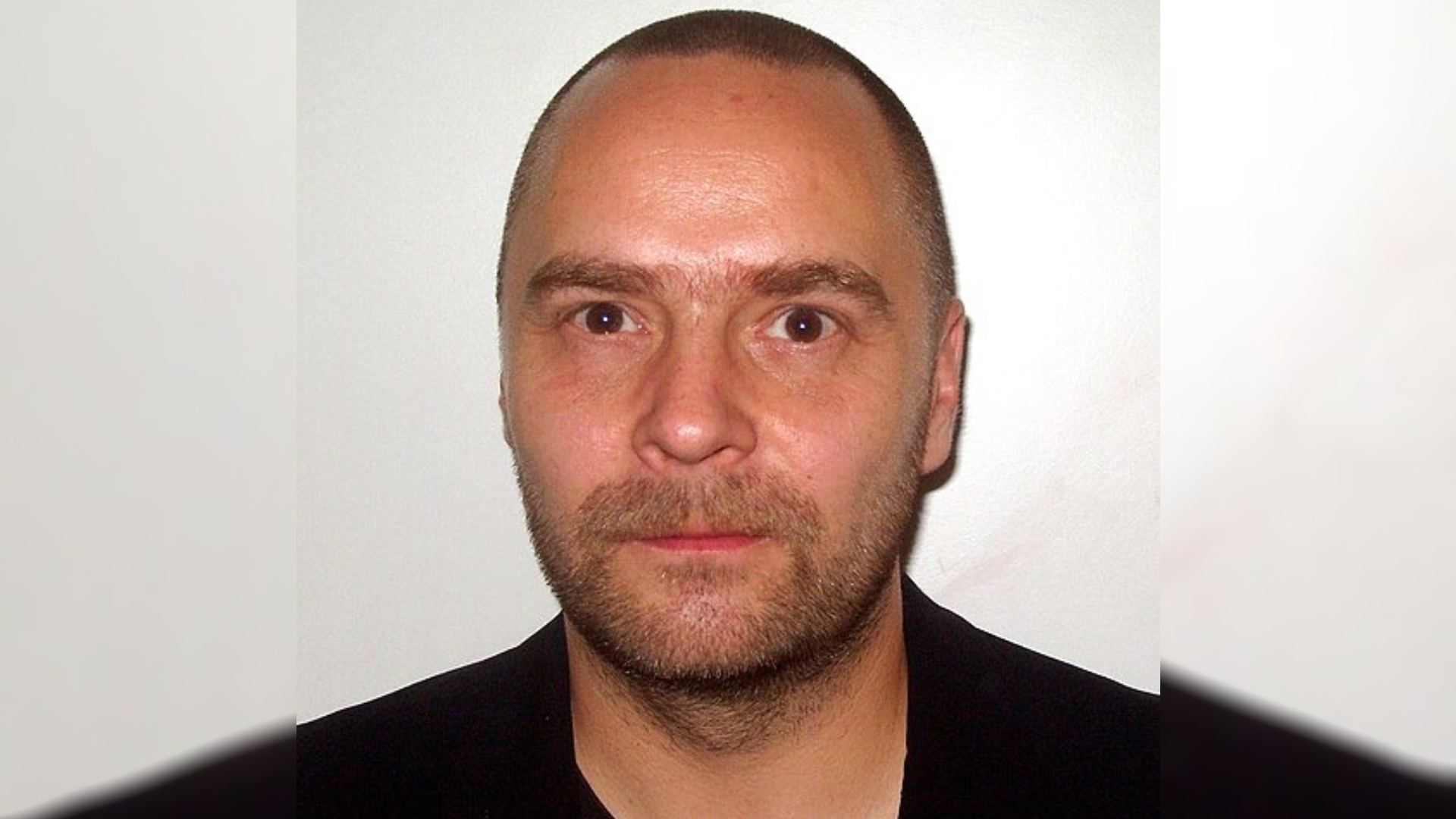David Nathan Wikipedia