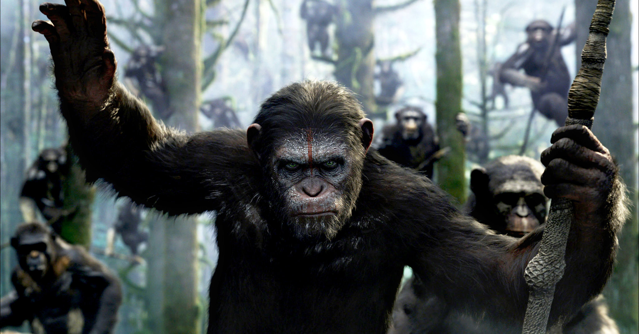 Dawn of the Planet of the Apes 2014