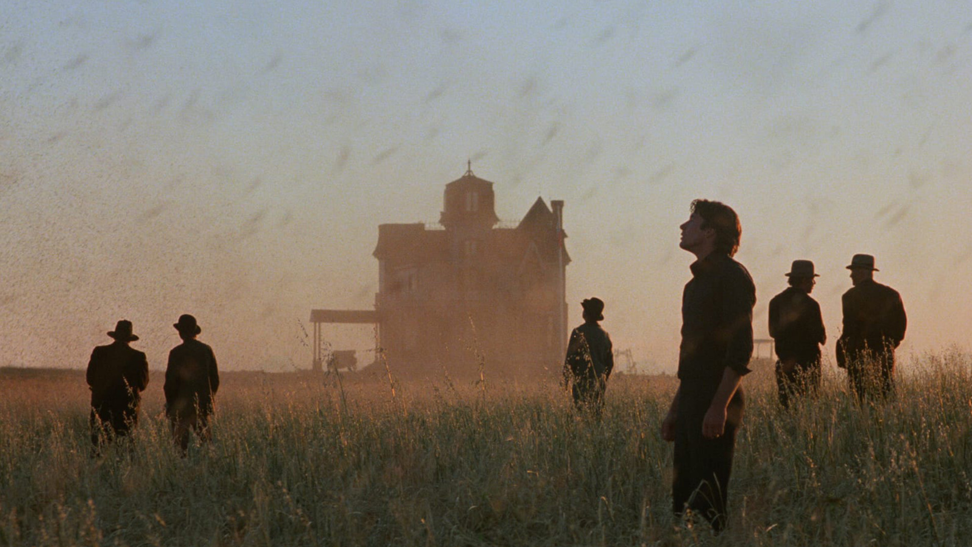 Days of Heaven The Golden Wheat Fields