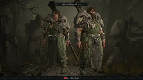 Diablo 4 druid