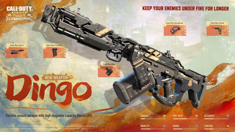 Dingo LMG