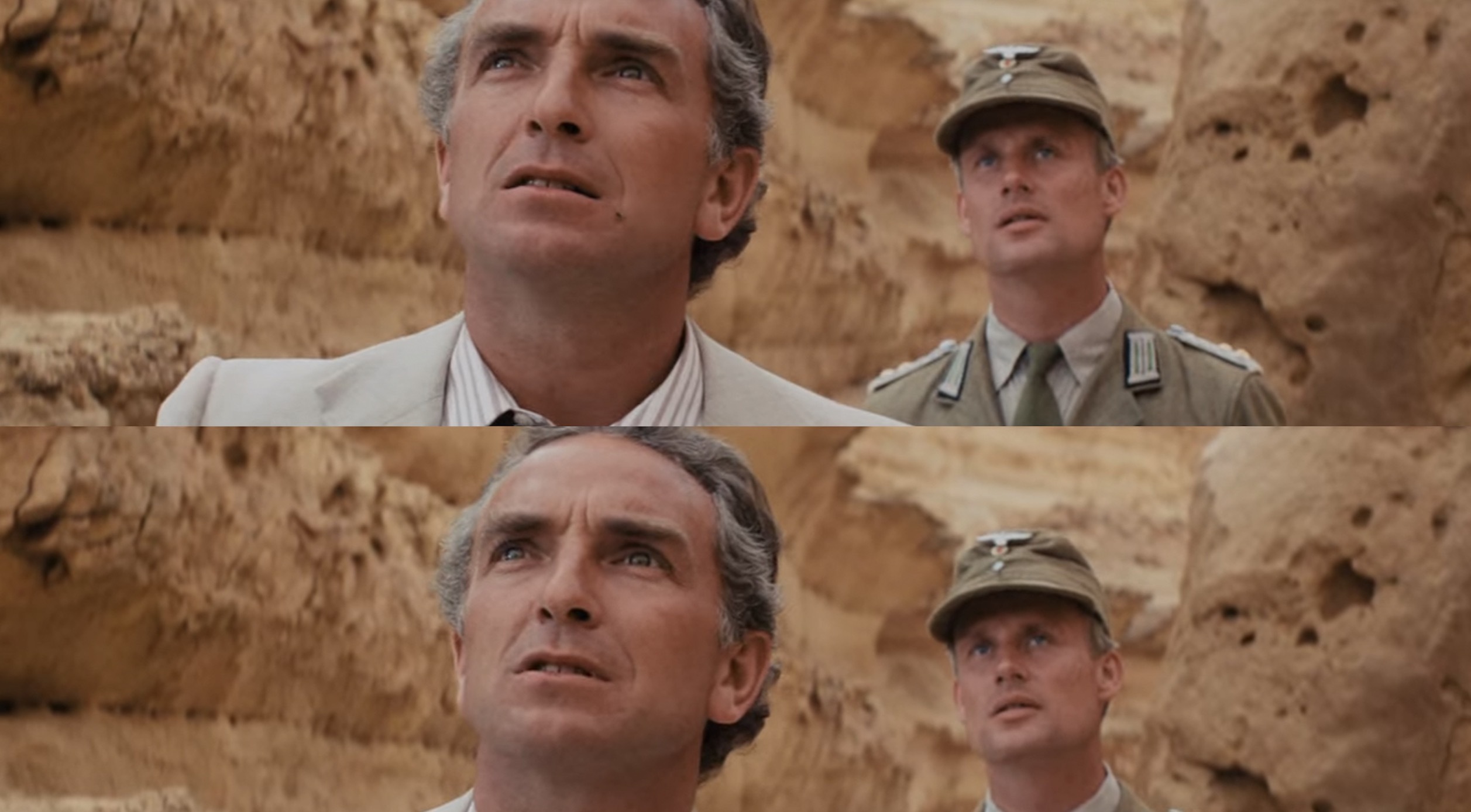 Disappearing fly in Raiders of the Lost Ark