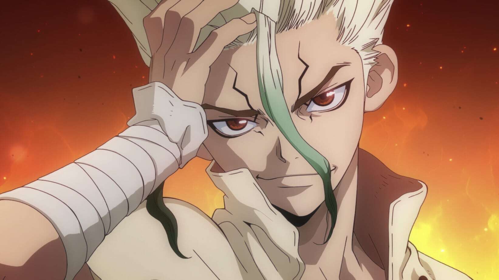 Dr STONE