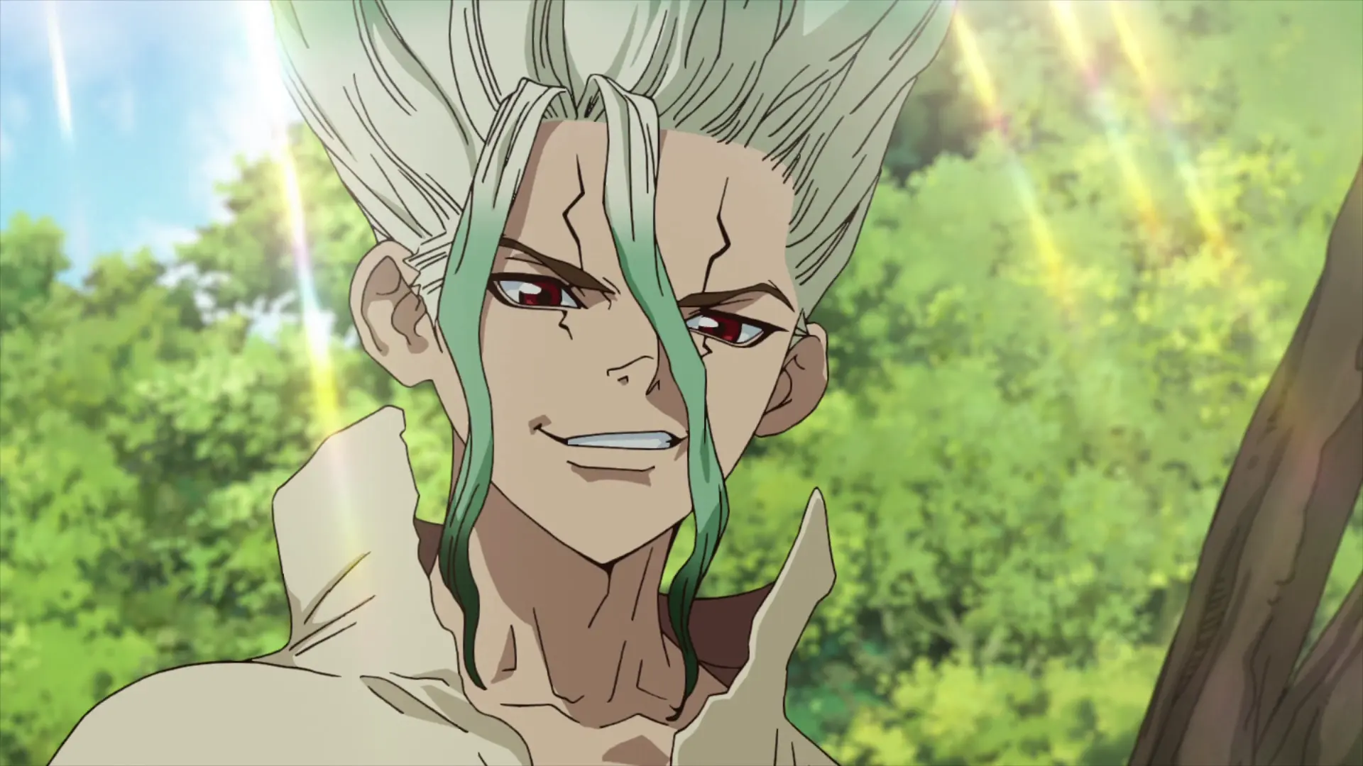 Dr Stone