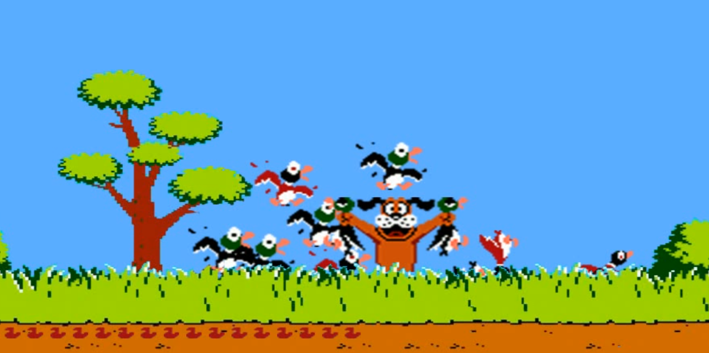 Duck Hunt