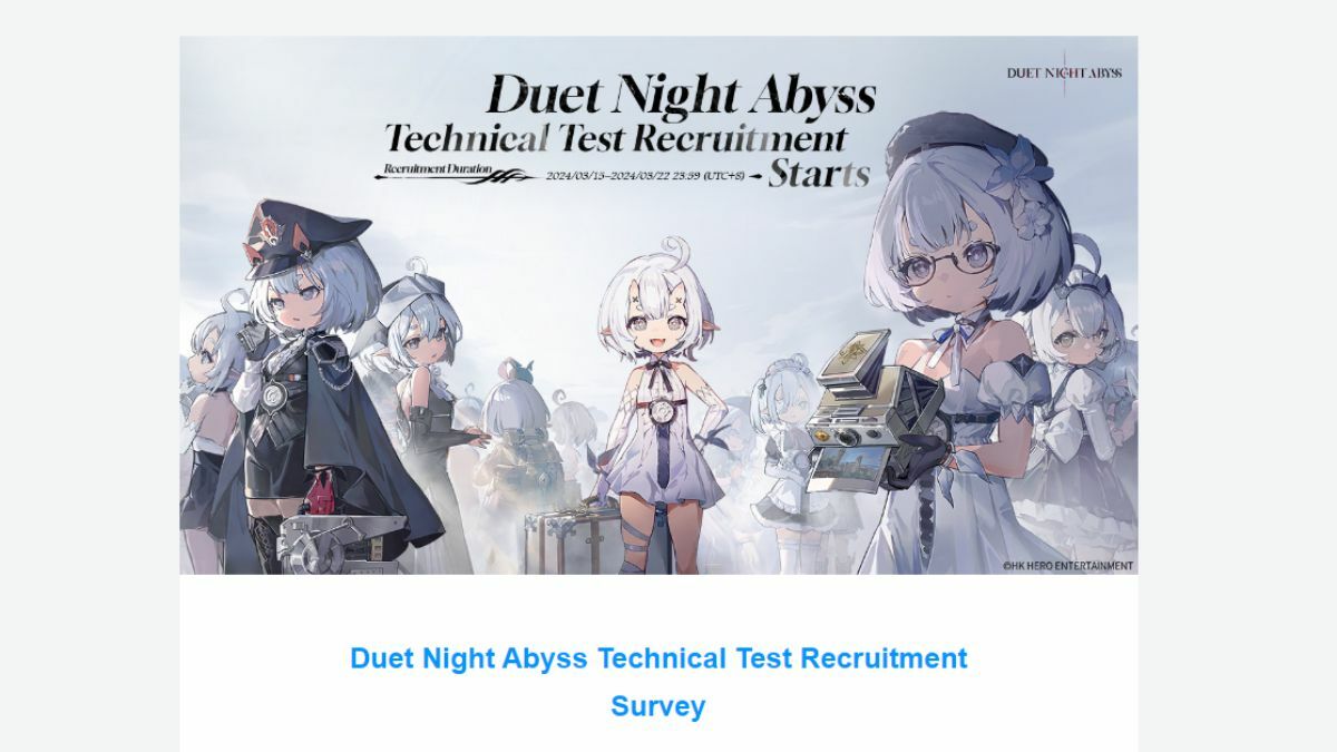 Duet Night Abyss Technical Test Survey