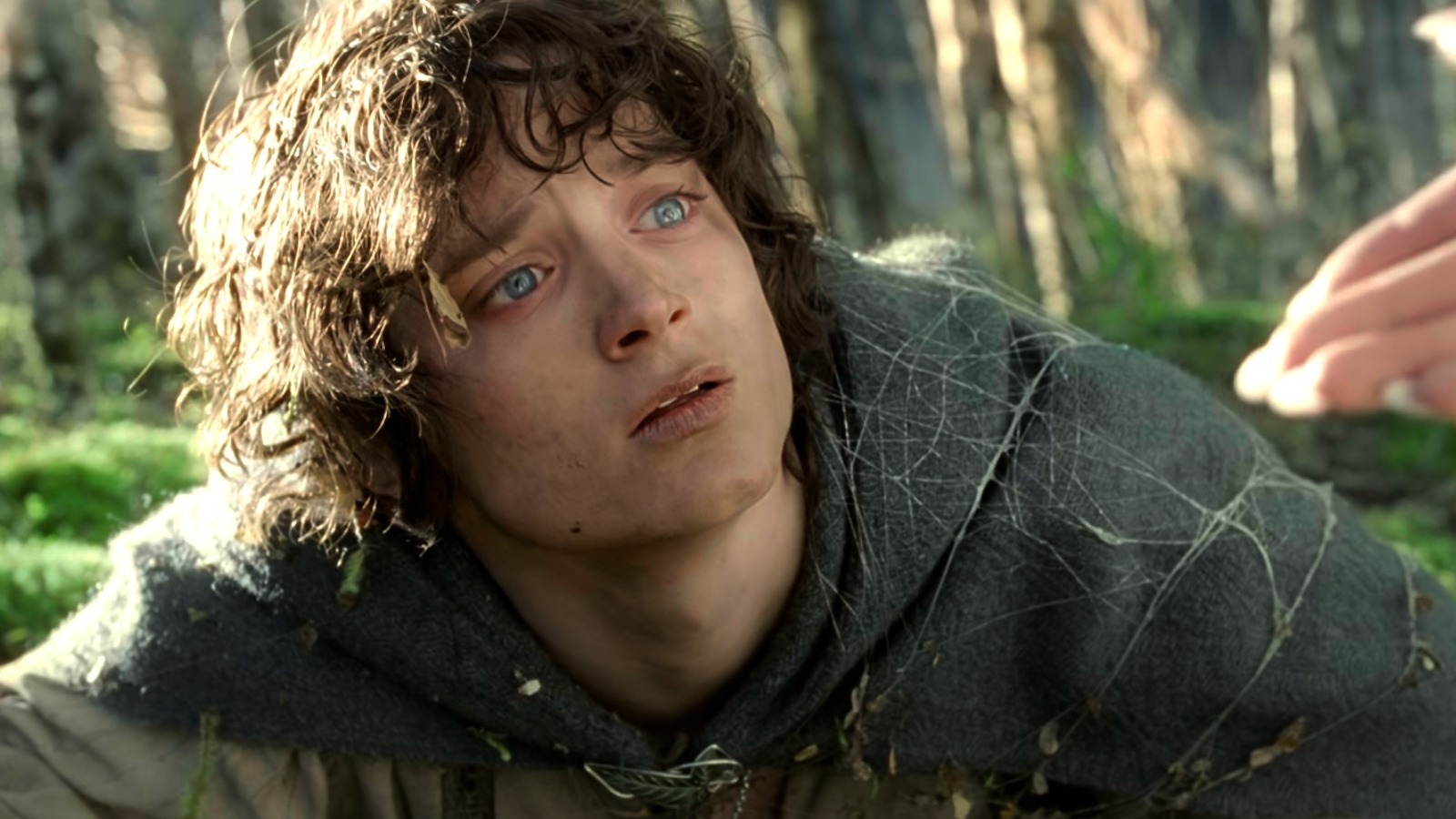 Elijah Wood and Frodo Baggins