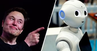 Elon Musk Robot