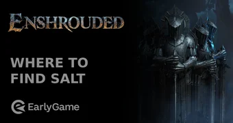 Enshrouded Where To Find Salt