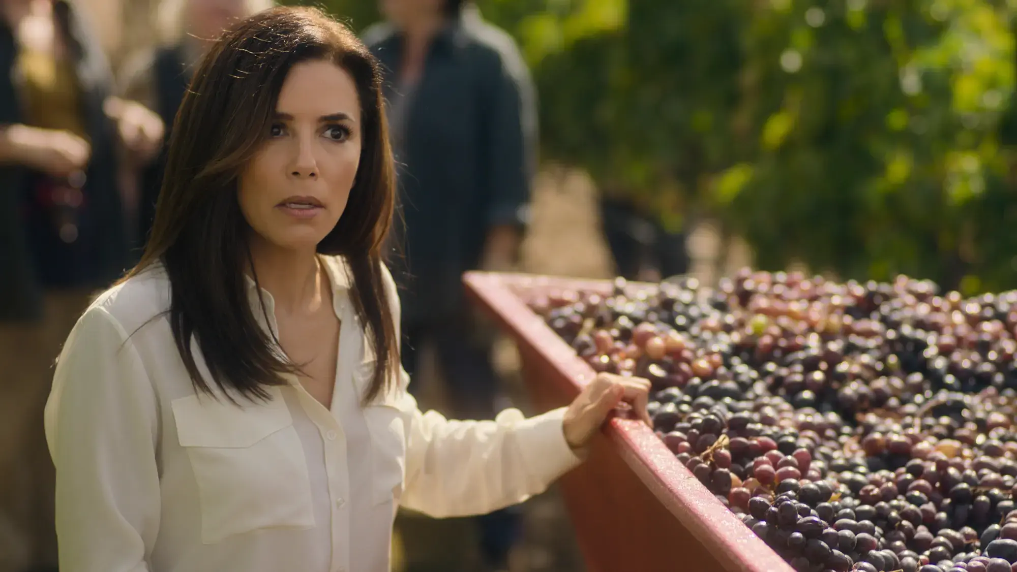Eva Longoria