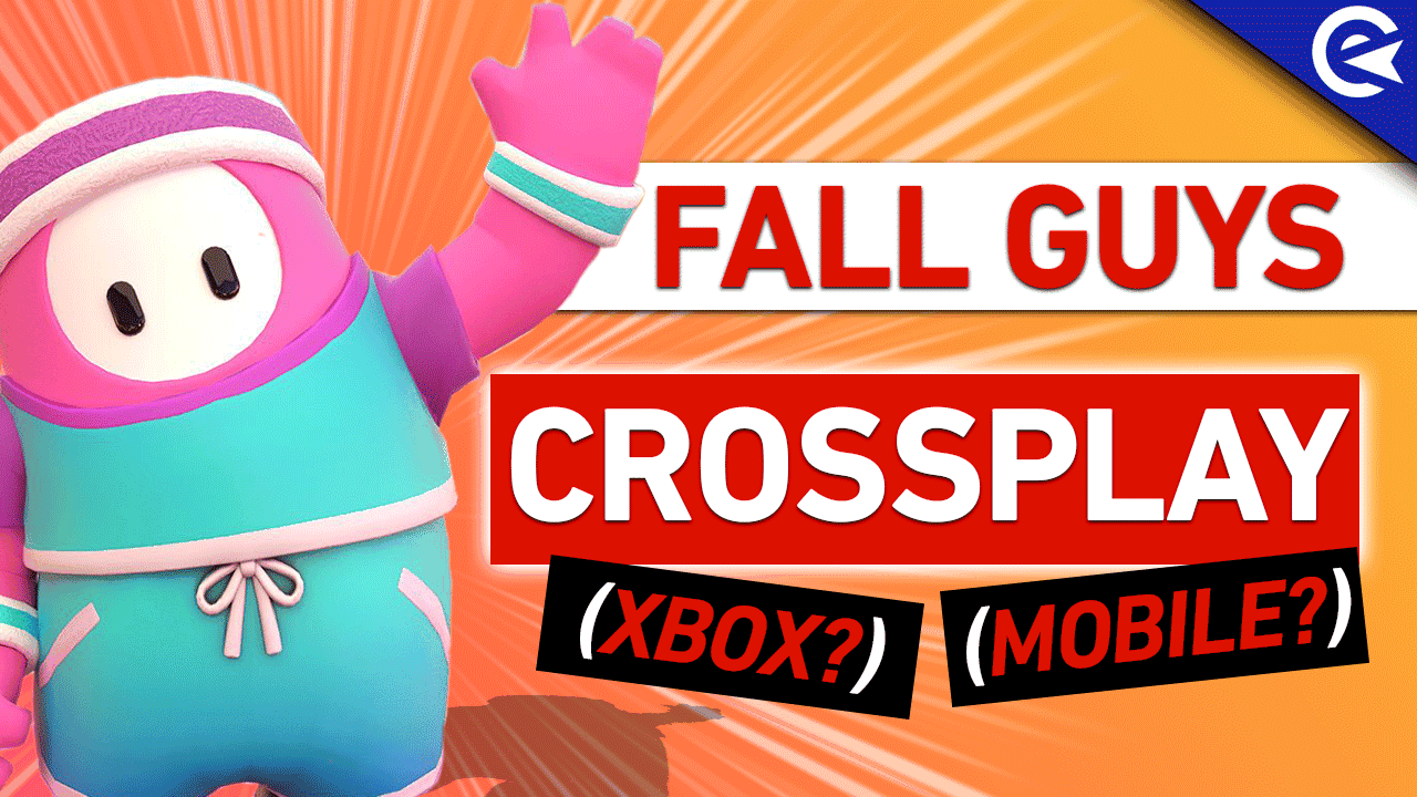 Fall Guys crossplay 2