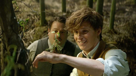 Fantastic Beasts Newt Jacob Bowtruckle