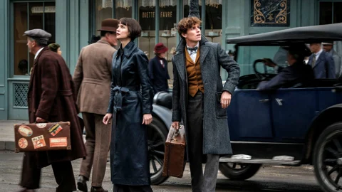 Fantastic Beasts Newt Tina