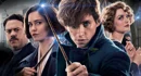 Fantastic Beasts and Where To Find Them Group Selfie with Niffler and Bowtruckle
