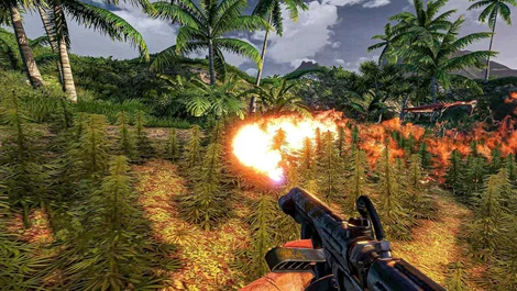 Far Cry 3 weed