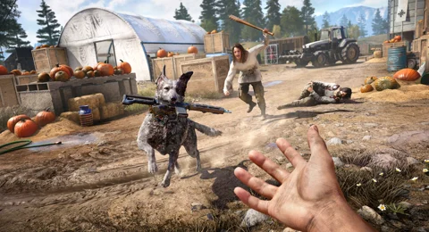 Far Cry 5 Fighting With Boomer