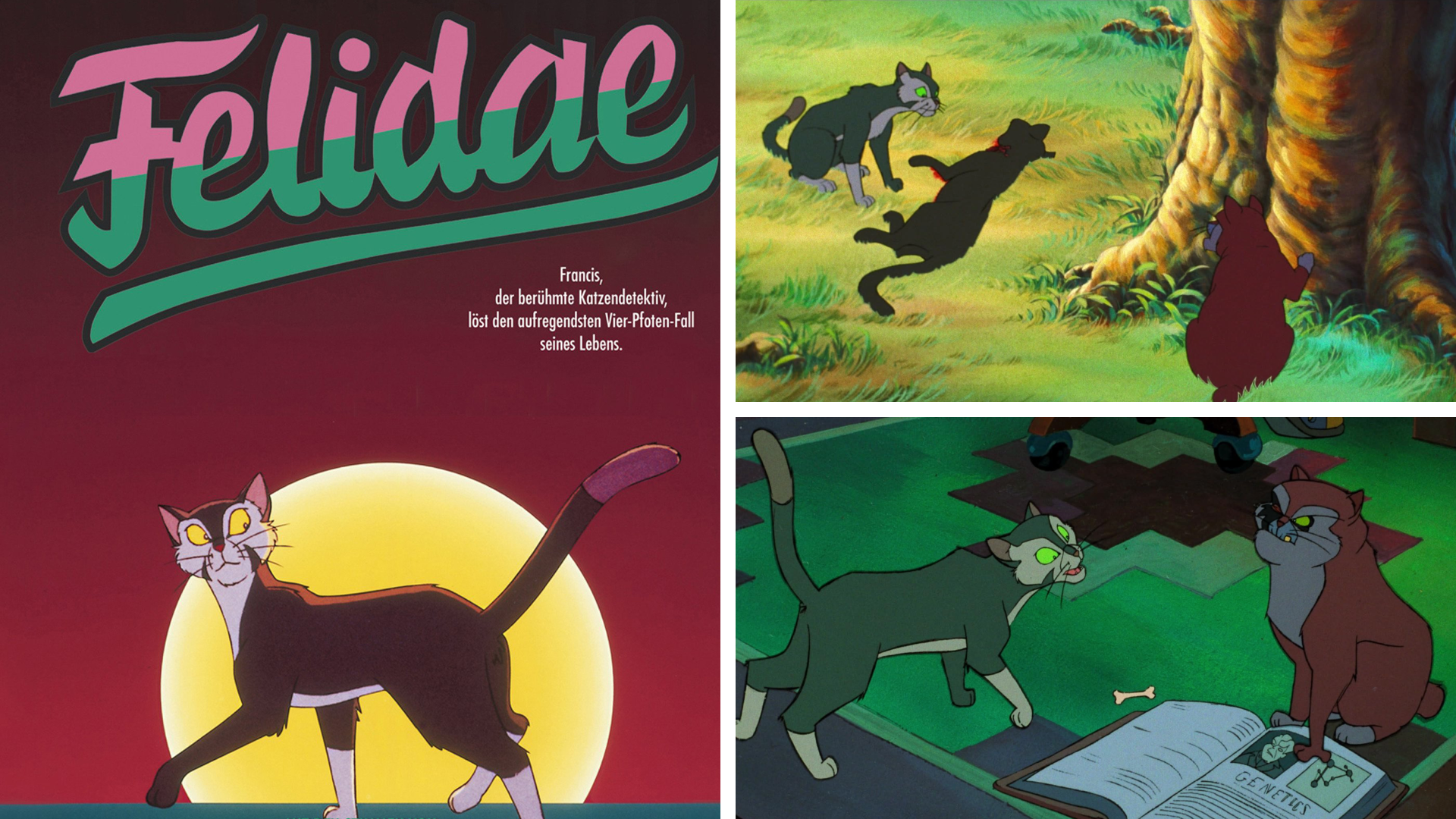 Felidae 1994