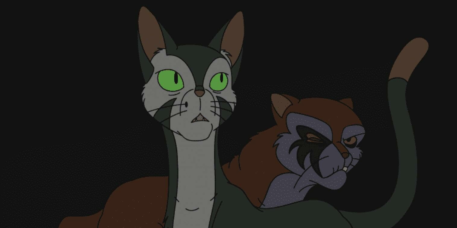 Felidae