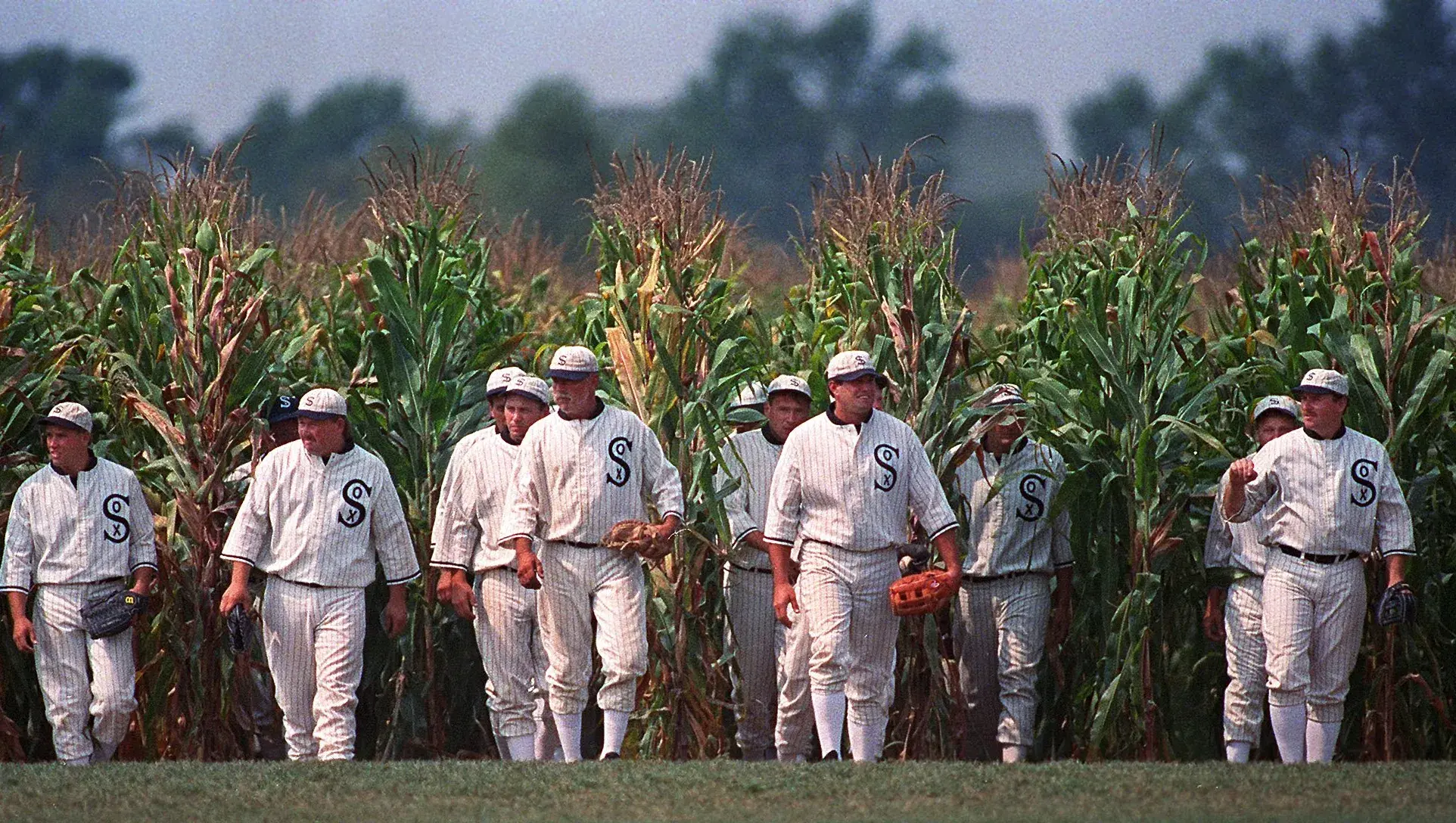 Field of Dreams