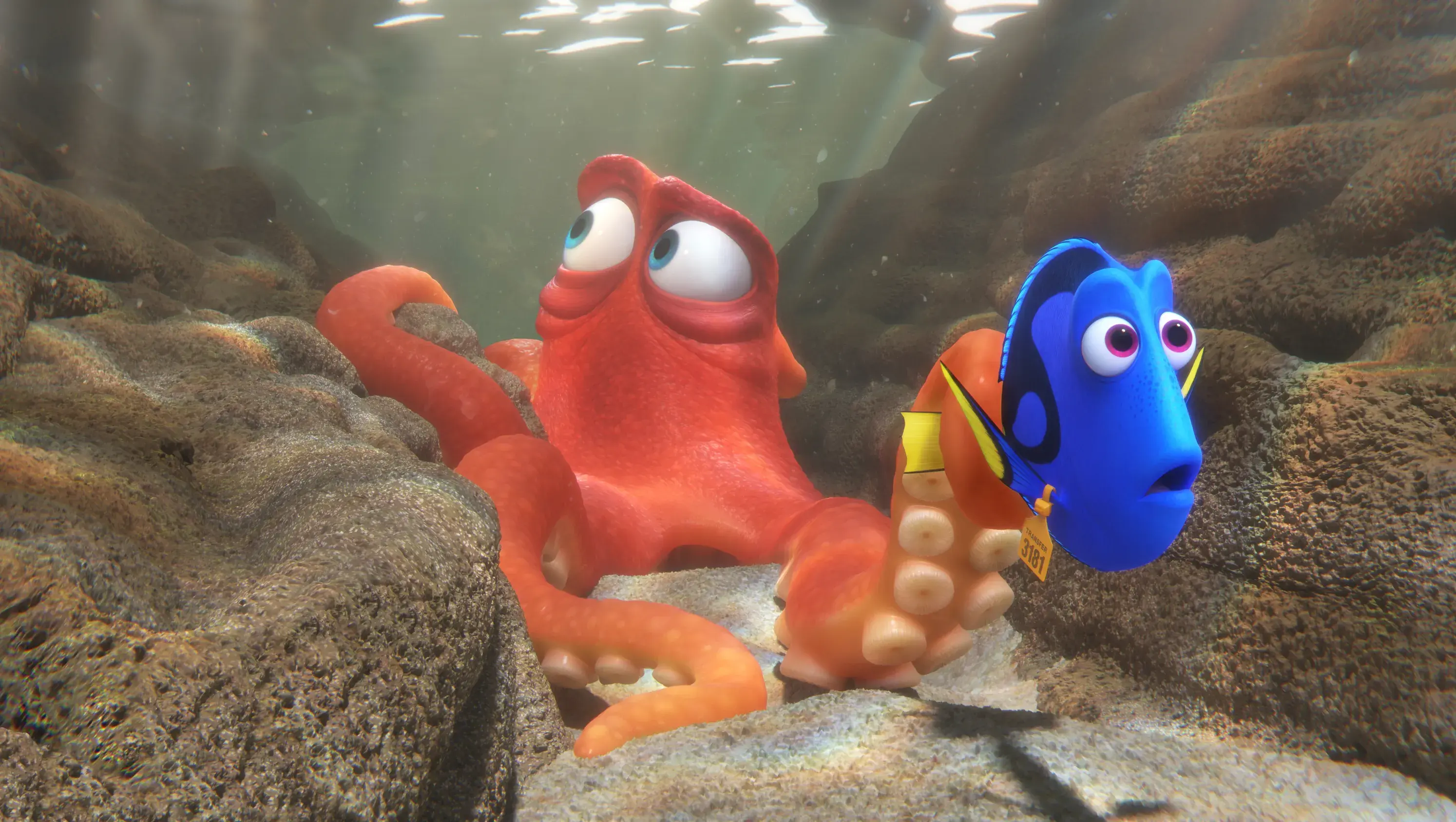 Finding Nemo