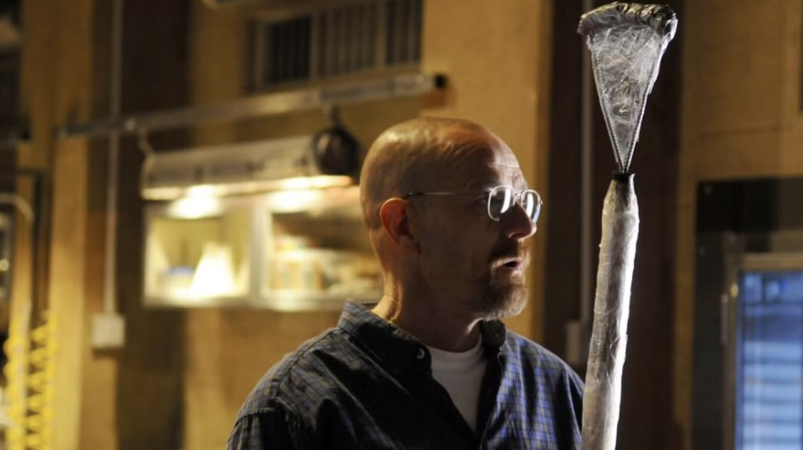 Fly in Breaking Bad