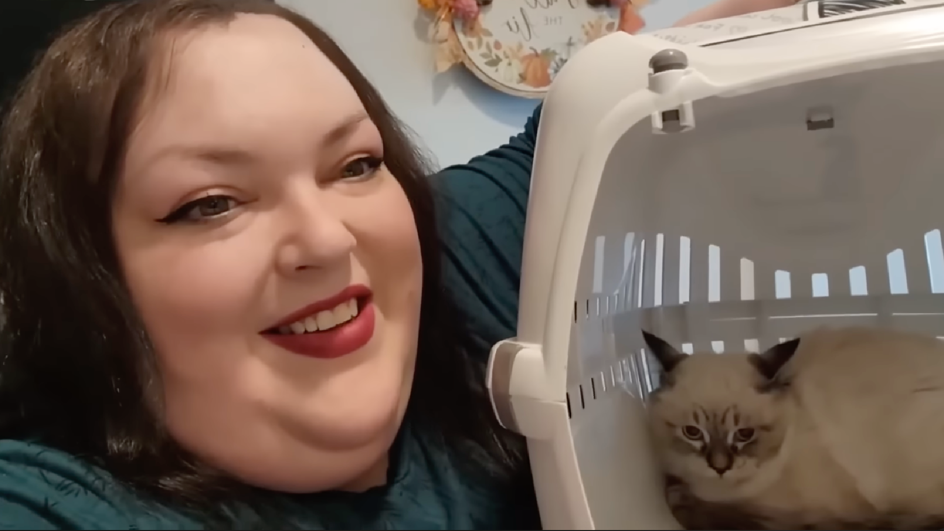 Foodie Beauty vs Cat