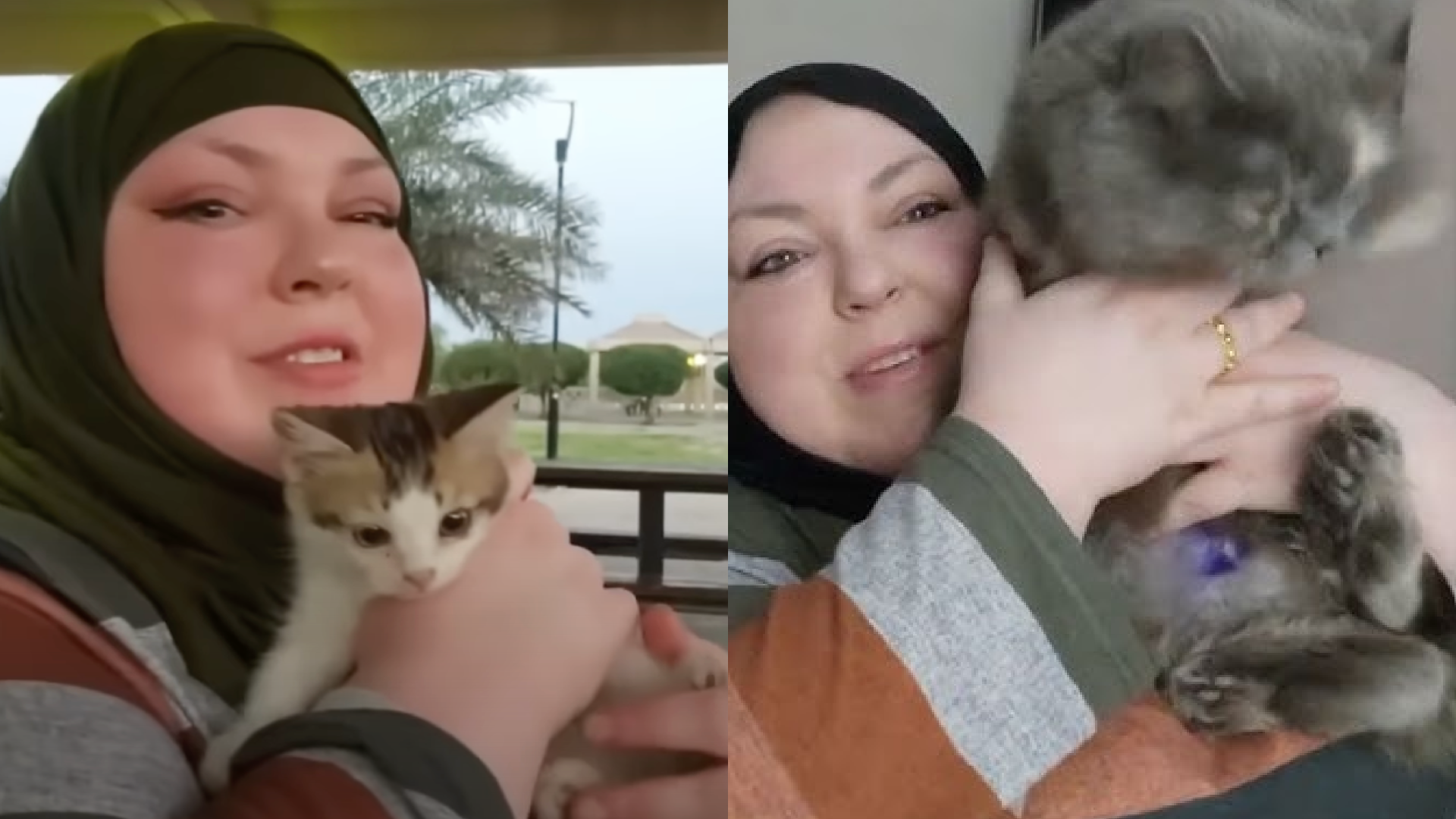 Foodie Beauty bringt Katze nach Syrien