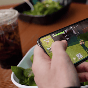 Fortnite IOS