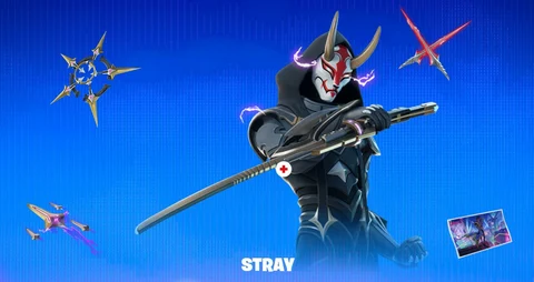 Fortnite Skin Stray
