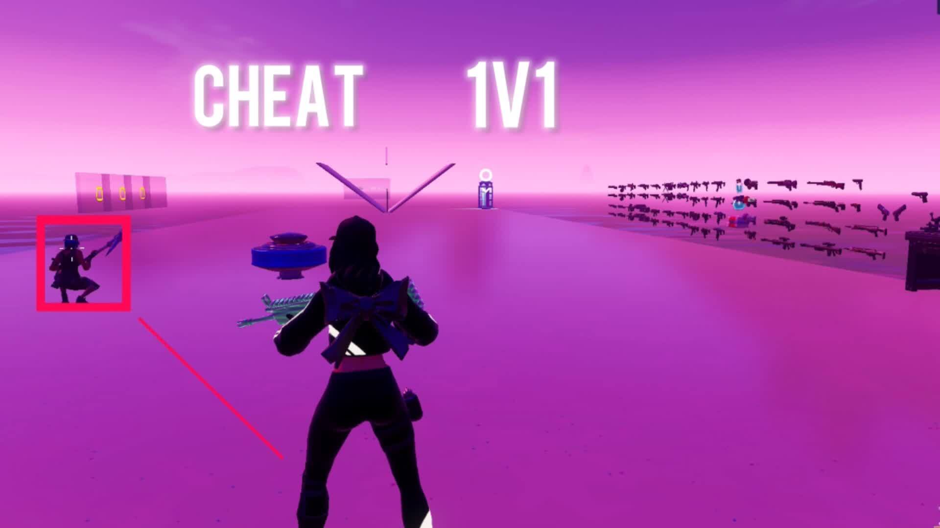 Fortnite cheat sue