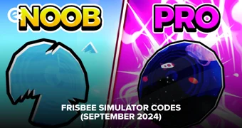 Frisbee Simulator Codes