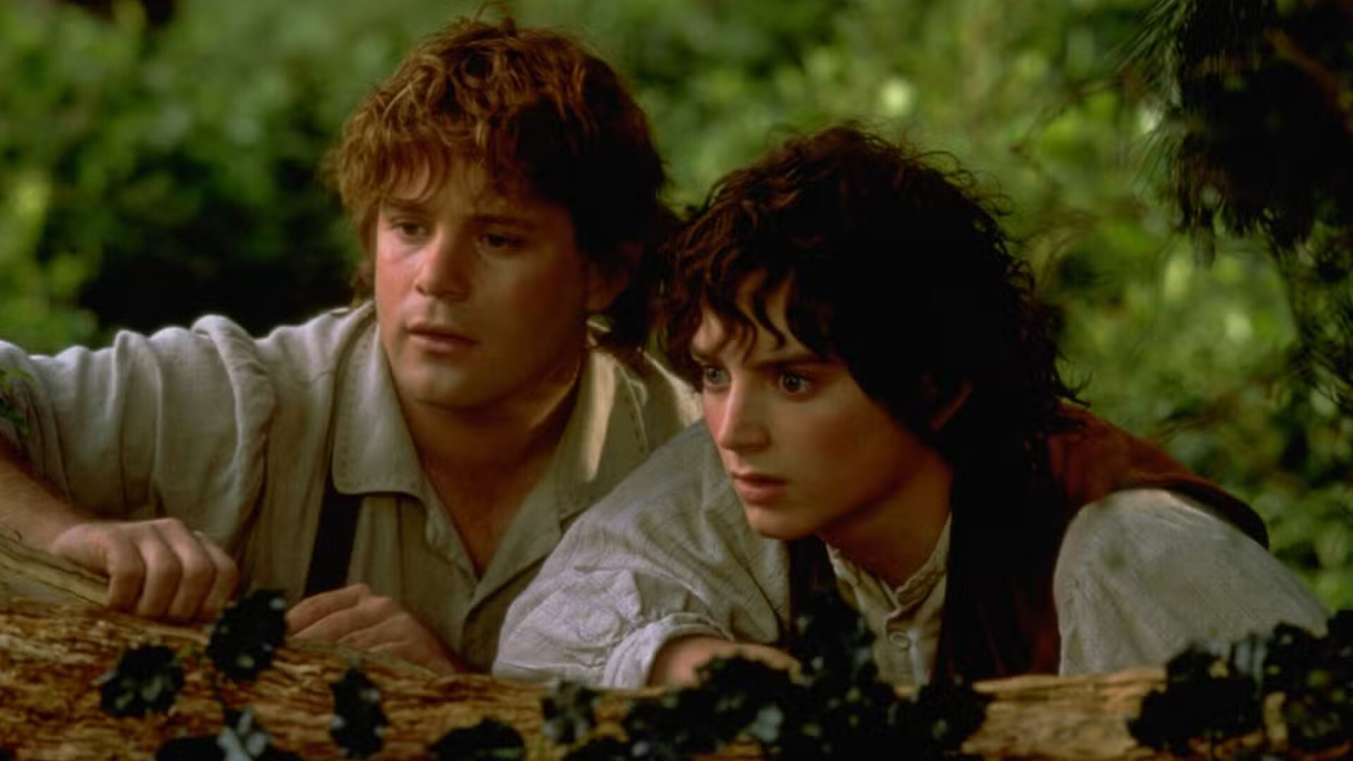 Frodo Baggins and Samwise Gamgee The Lord of the Rings