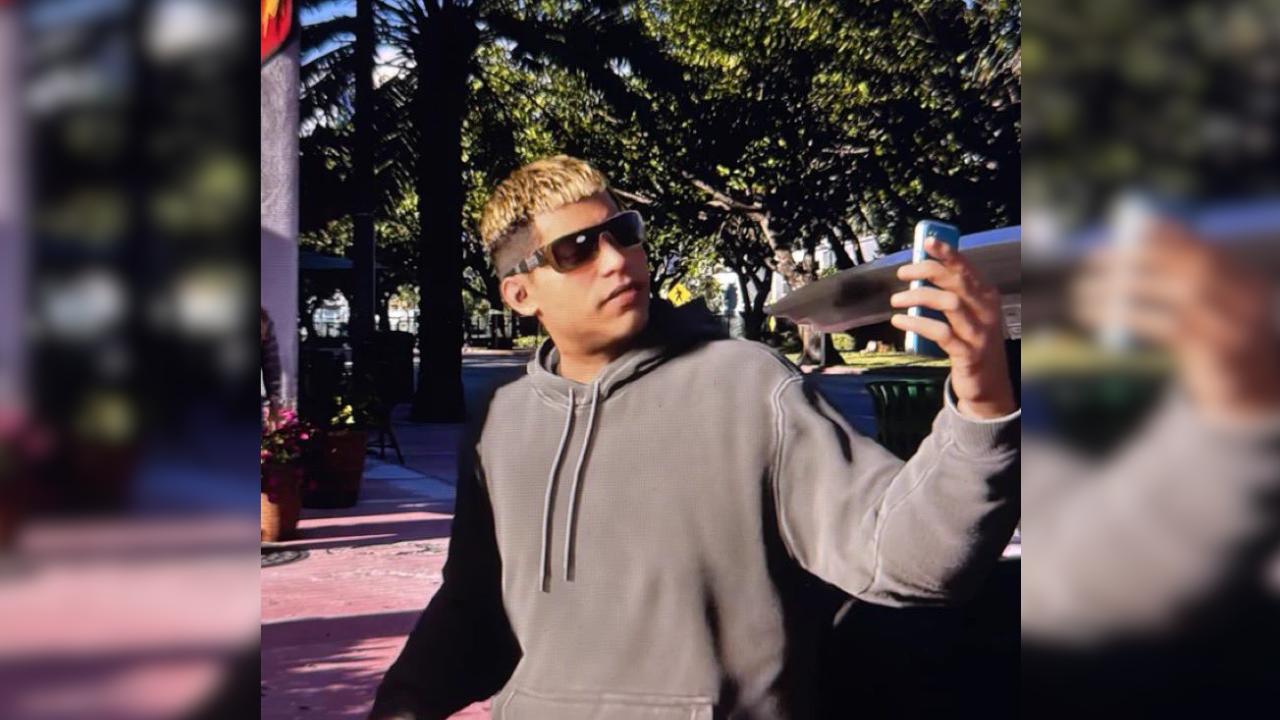 GTA VI Streamer