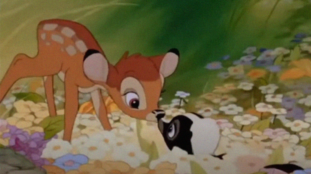 Gallery Videotheken Vibes VHS Filme Bambi