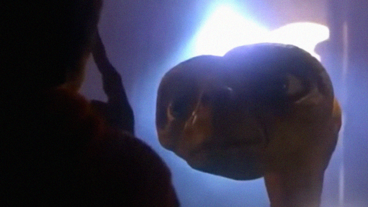 Gallery Videotheken Vibes VHS Filme ET