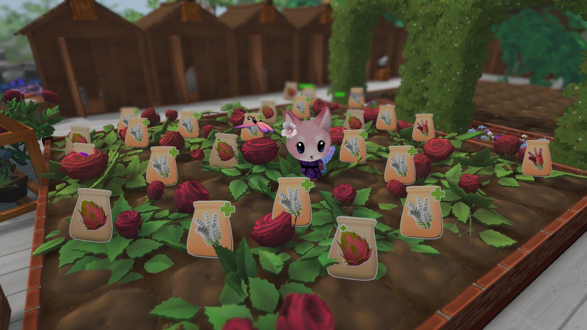 Garden Paws