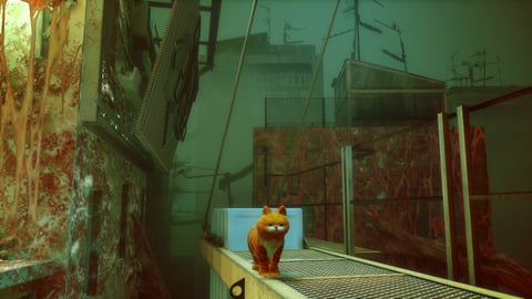 Garfield Stray