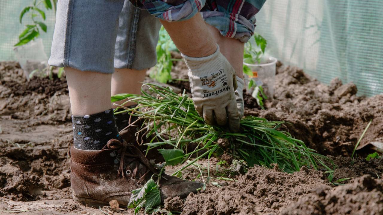 Gartenarbeit Pexels
